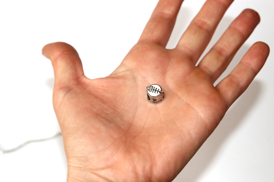 Korálek na náramek Fashion Jewerly - Rybí kostřička, Ryba Ichthys, Evoluce, Evolution 3048