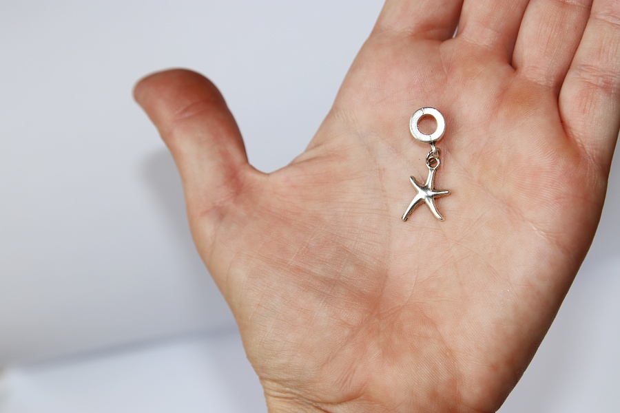 Korálek Fashion Jewerly - Přívěsek Mořská hvězdice, hvězda, Moře, Cestování, Příroda, Starfish 3235