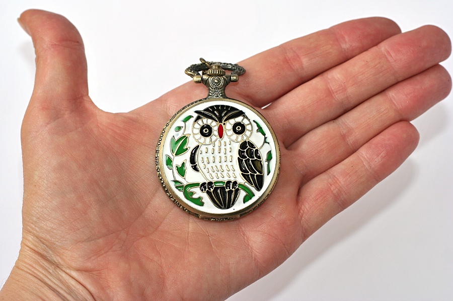 Kapesní Hodinky na řetízku - Moudrá sova malovaná glazurou 2244